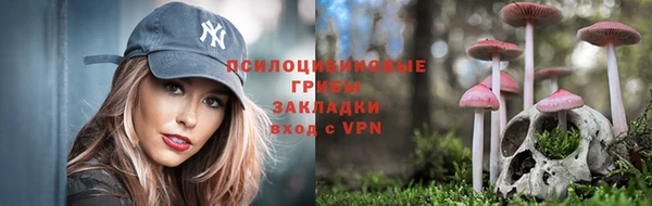 тгк Переславль-Залесский