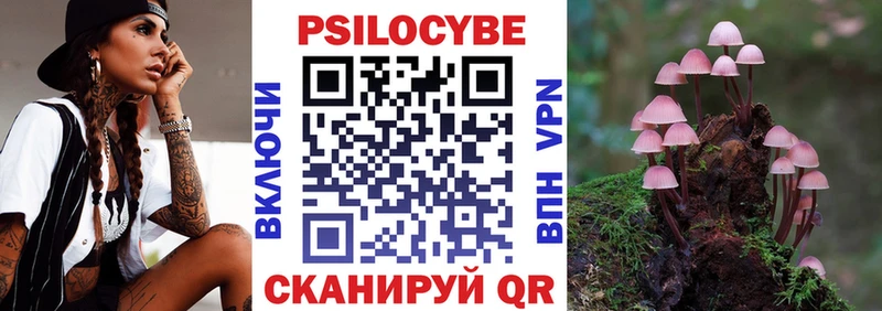 Галлюциногенные грибы Cubensis  как найти   Кирсанов 